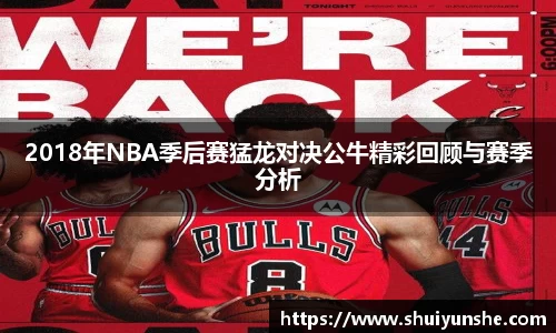 2018年NBA季后赛猛龙对决公牛精彩回顾与赛季分析
